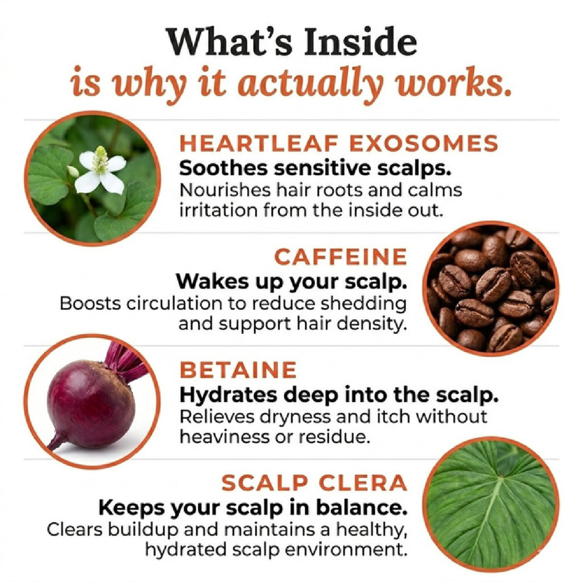 Lilyeve Hair Growth Brush Ampoule