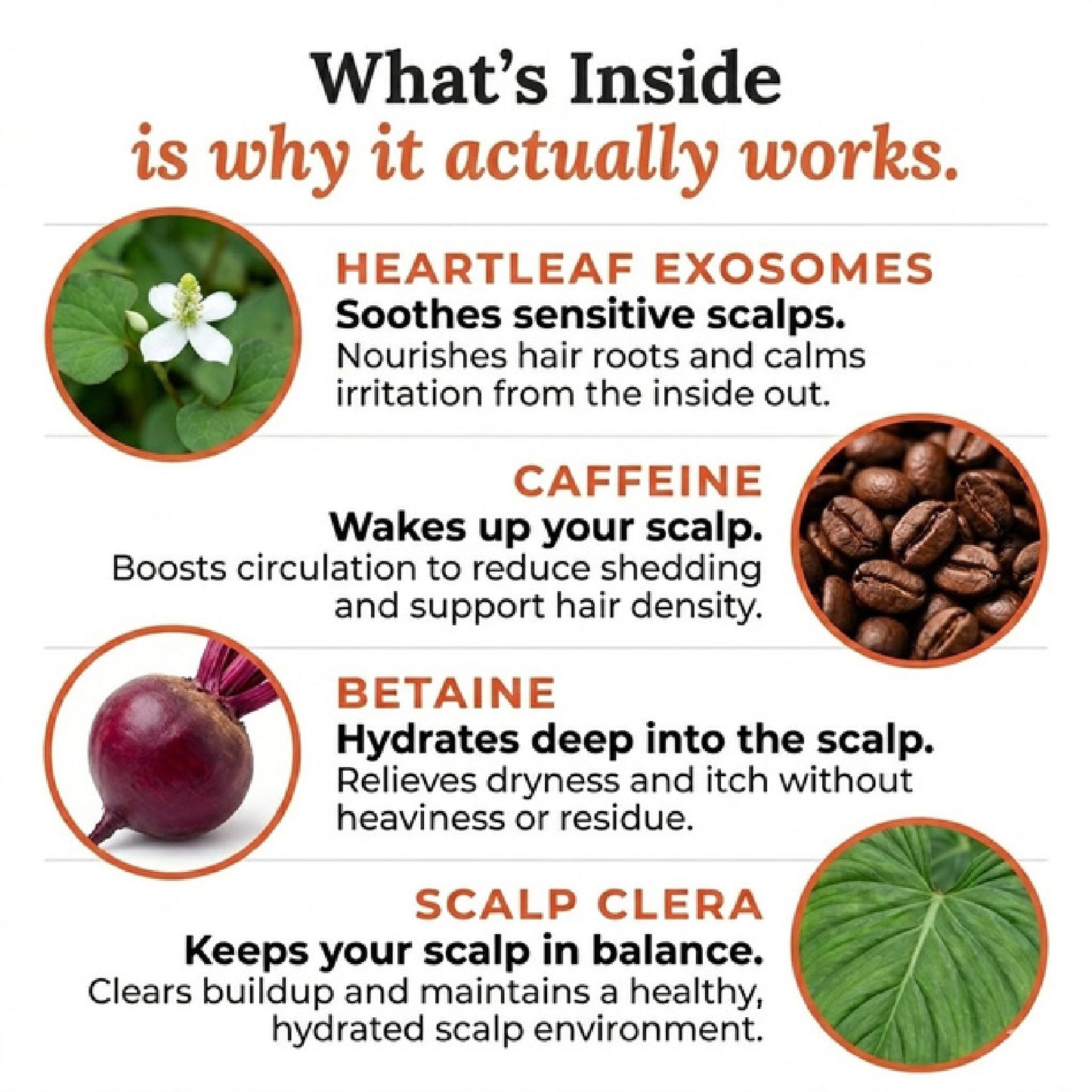 Lilyeve Hair Growth Brush Ampoule